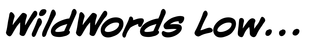 WildWords Lower Bold Italic